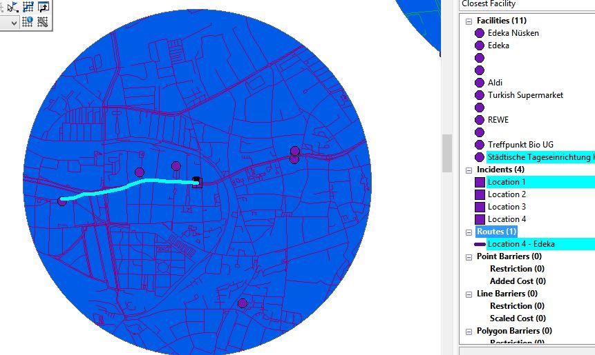network analyst.JPG